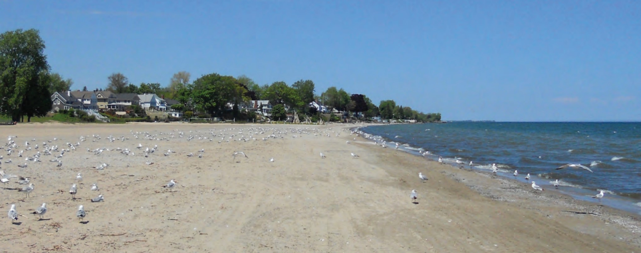 Lake beach Ontario, NY U.S. Geological Survey